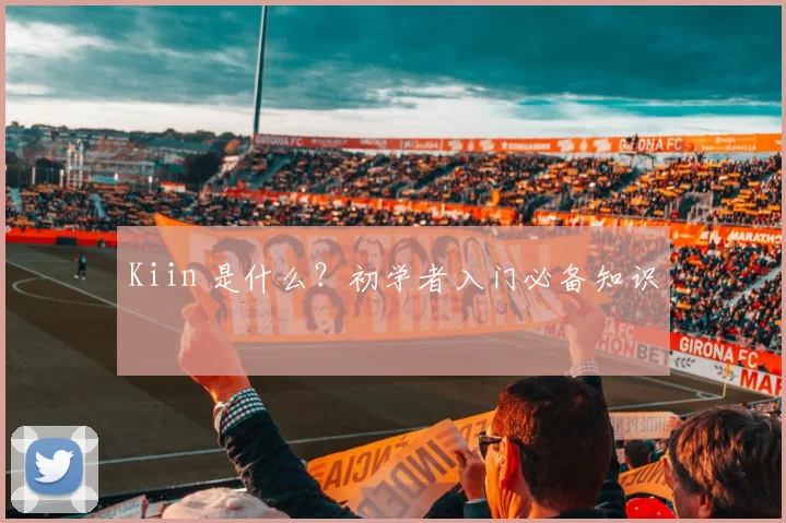 Kiin 是什么？初学者入门必备知识