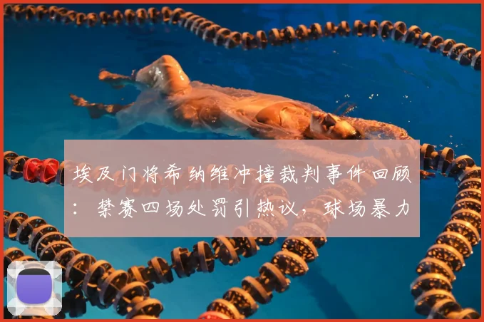 埃及门将希纳维冲撞裁判事件回顾：禁赛四场处罚引热议，球场暴力如何界定与惩处？