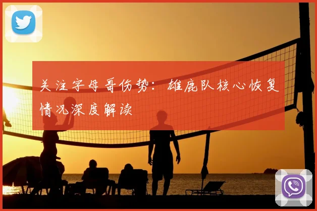 关注字母哥伤势：雄鹿队核心恢复情况深度解读