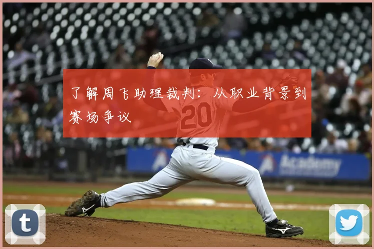 了解周飞助理裁判：从职业背景到赛场争议